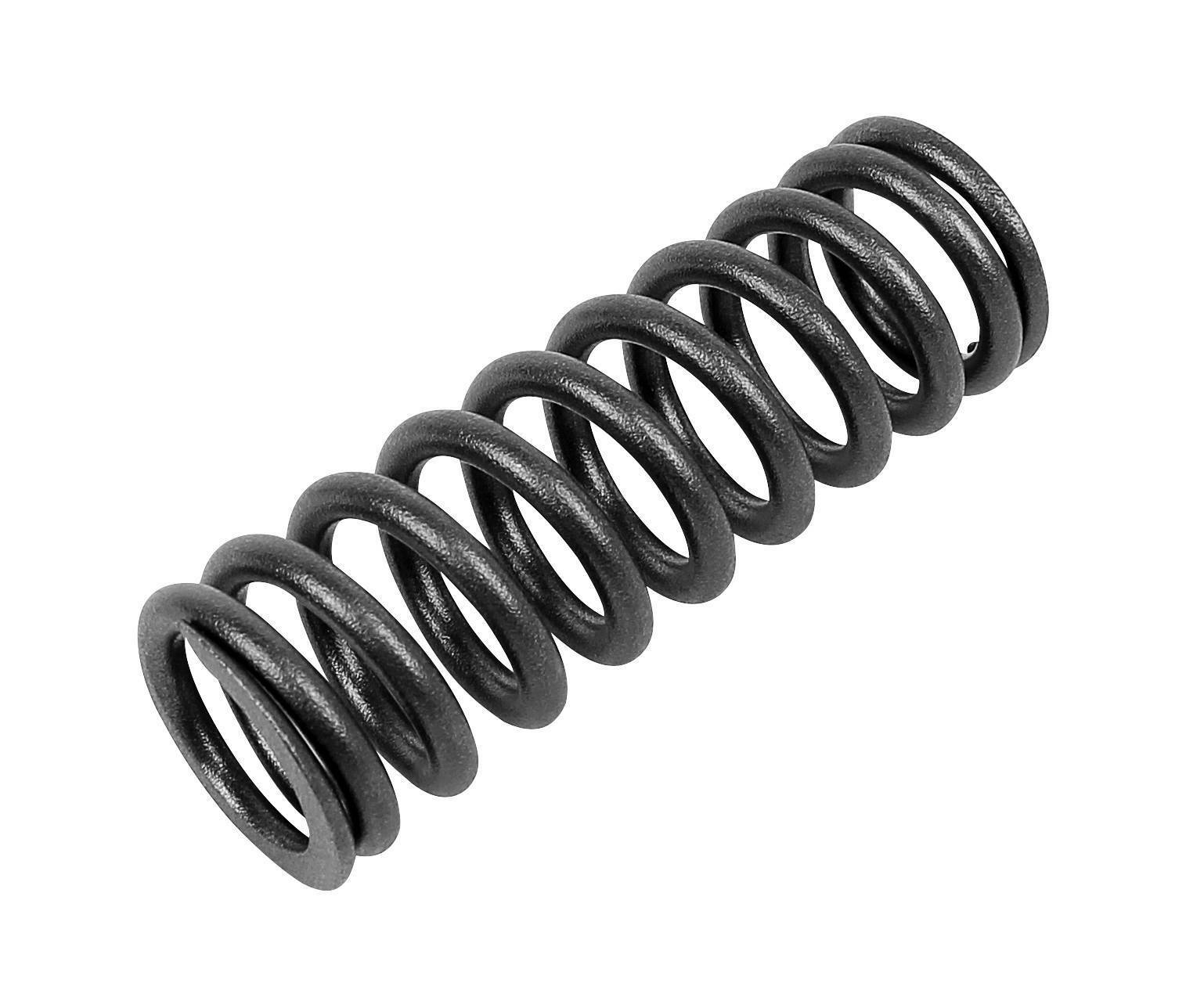 Valve spring inner DT Spare Parts 2.10275 (2 pcs)