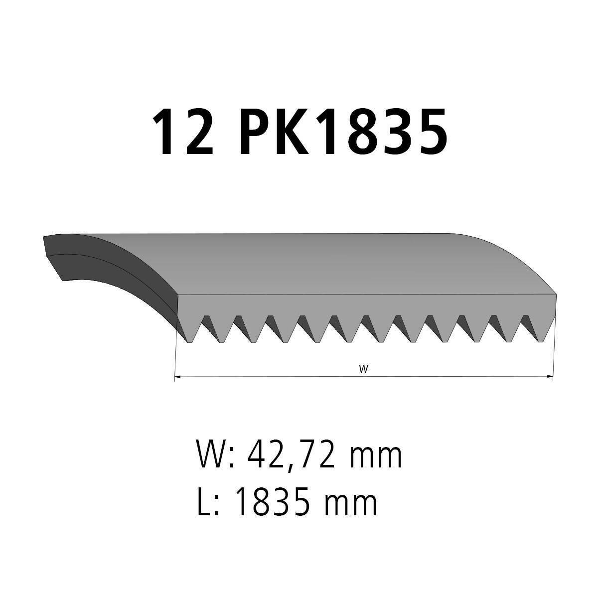 Correa acanalada DT Spare Parts 7.54812 Correa acanalada 12 u. L: 1835 mm