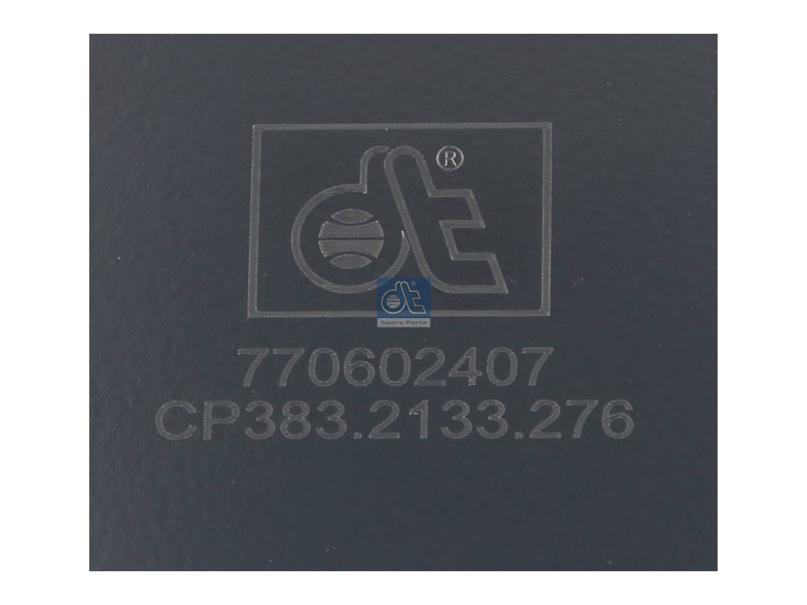 Brake shield | DT Spare Parts 10.33276