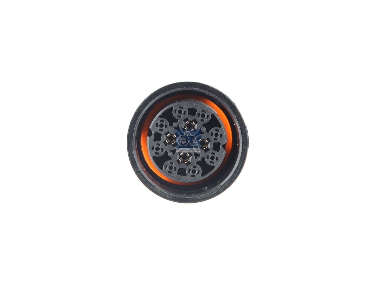 Cable harness | DT Spare Parts 13.00121