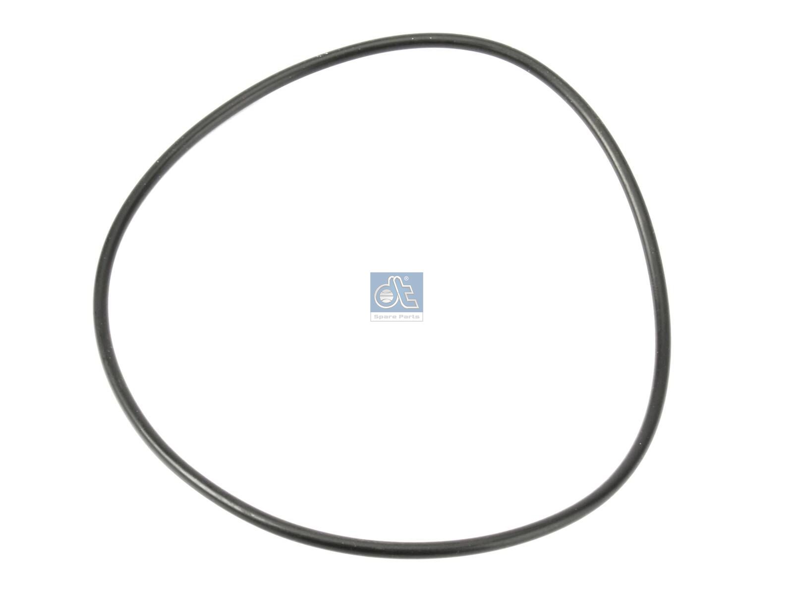 O-ring | DT Spare Parts 1.17101