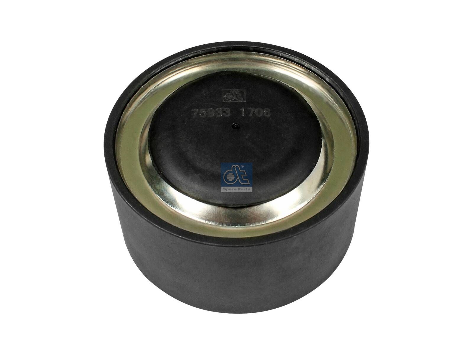 Tension roller | DT Spare Parts 2.15574