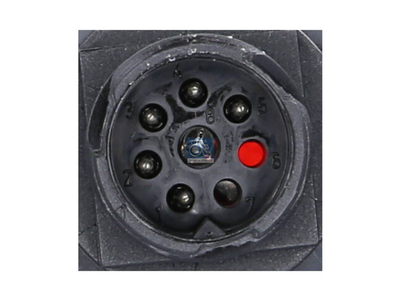 Tail lamp housing | DT Spare Parts 3.32022