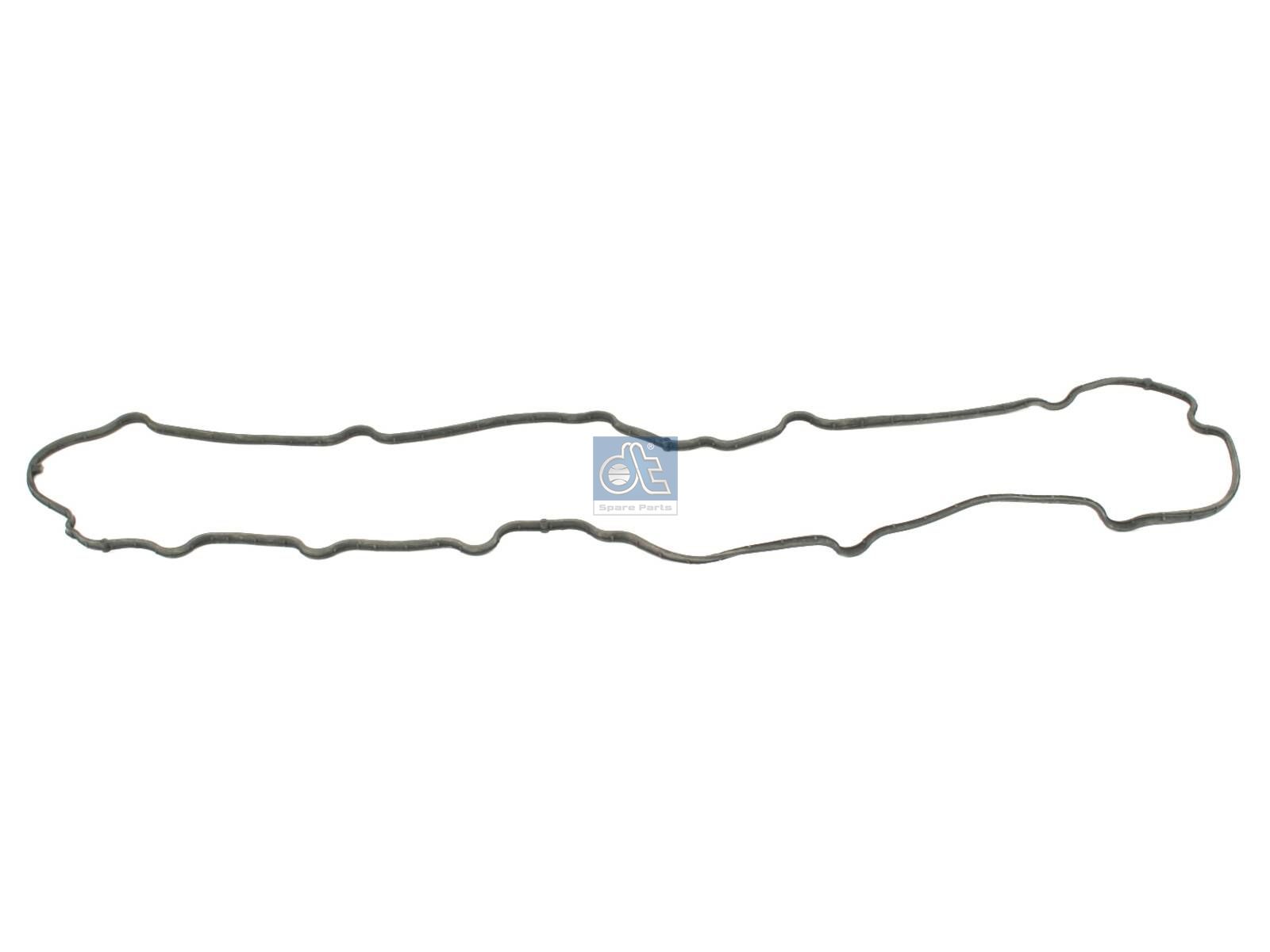 Oil sump gasket | DT Spare Parts 4.20438