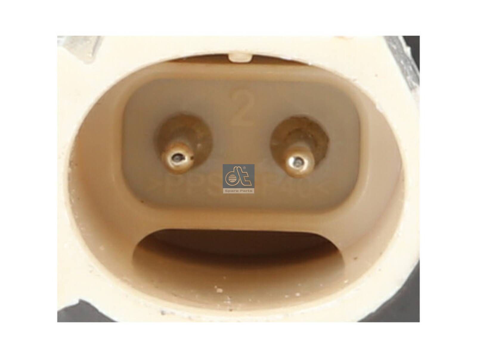 Injection nozzle | DT Spare Parts 5.41319