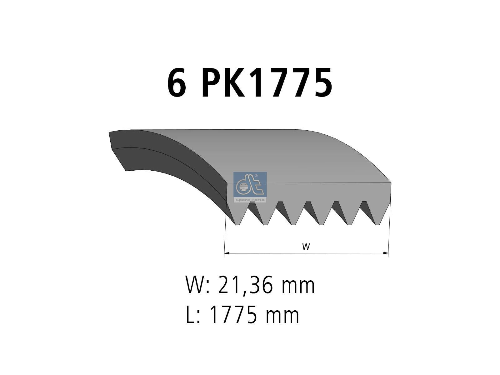 Multiribbed belt | DT Spare Parts 13.43500