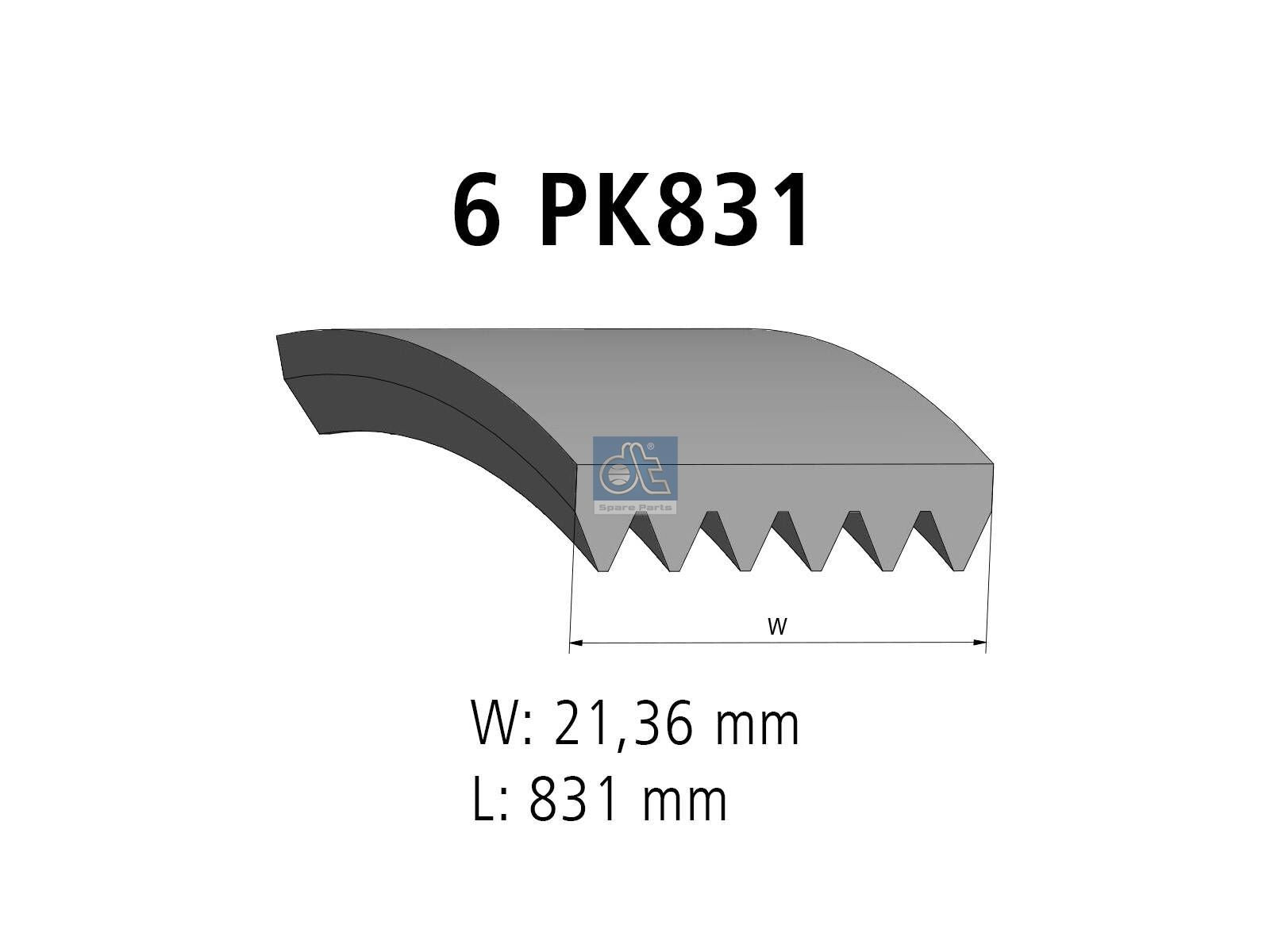 Multiribbed belt | DT Spare Parts 13.43503
