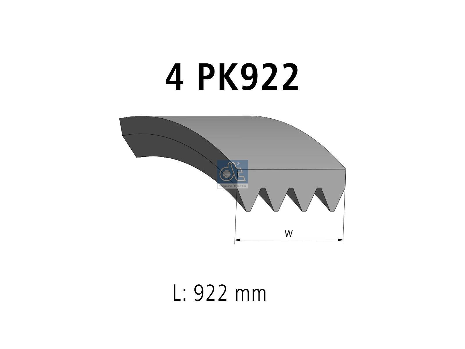 Multiribbed belt | DT Spare Parts 13.43509SP