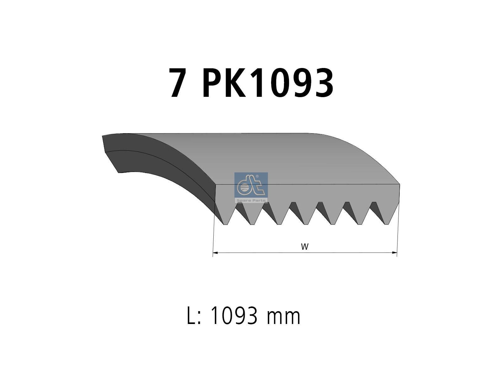 Multiribbed belt | DT Spare Parts 14.16000