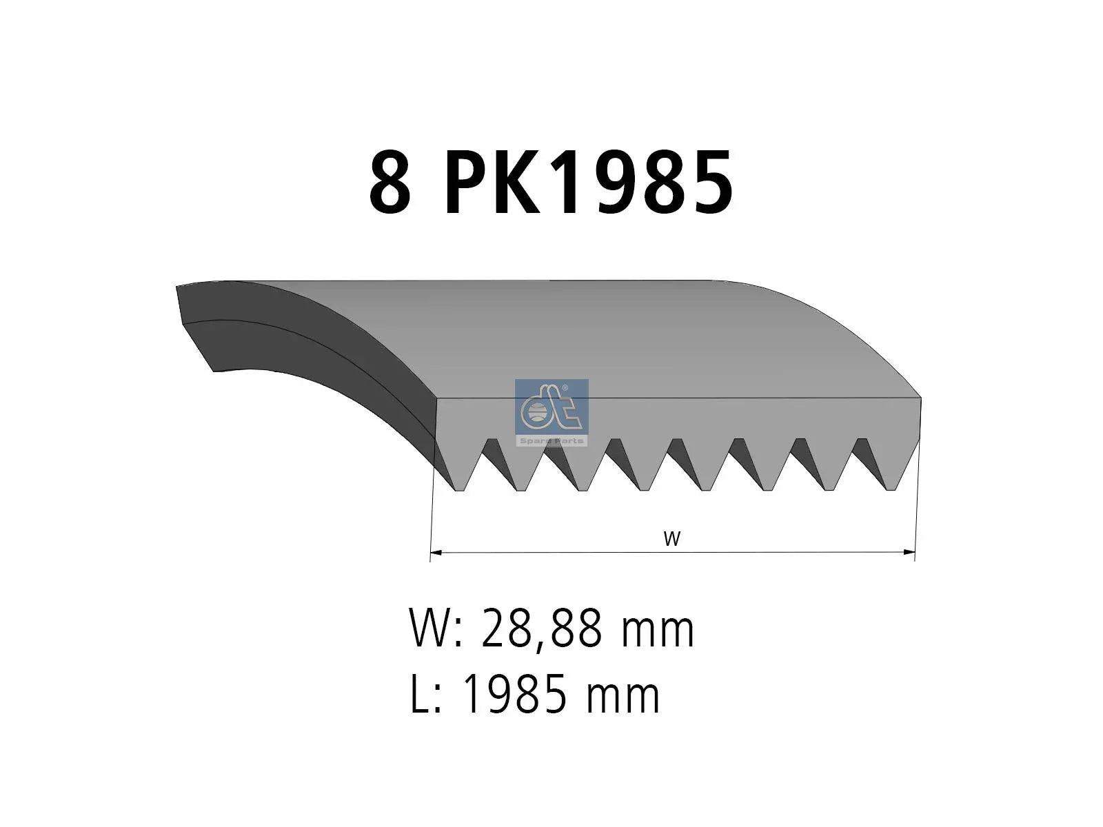 Multiribbed belt | DT Spare Parts 1.21197
