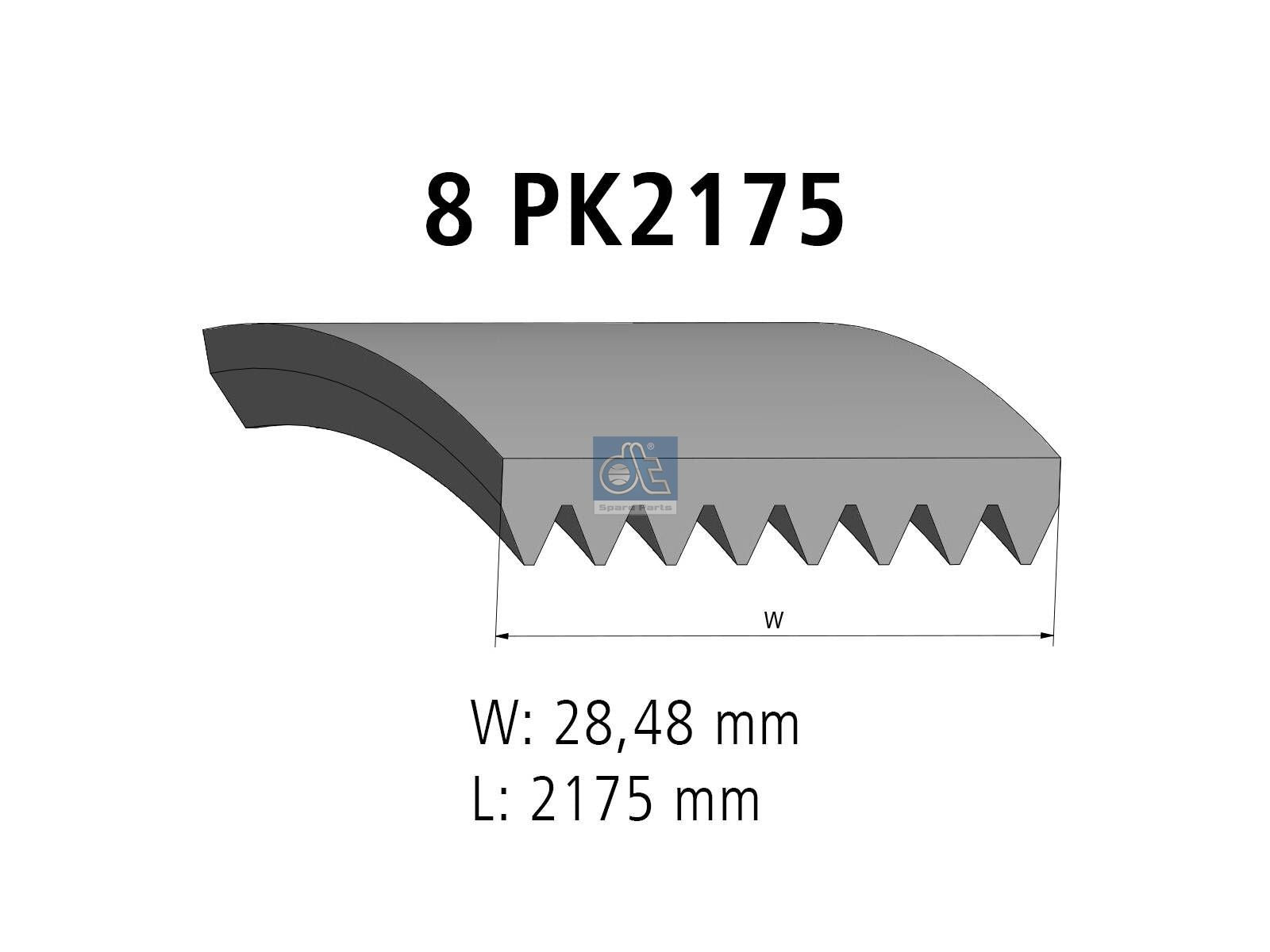 Multiribbed belt | DT Spare Parts 1.21869