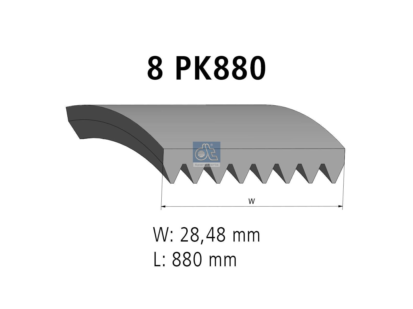 Multiribbed belt | DT Spare Parts 3.34212