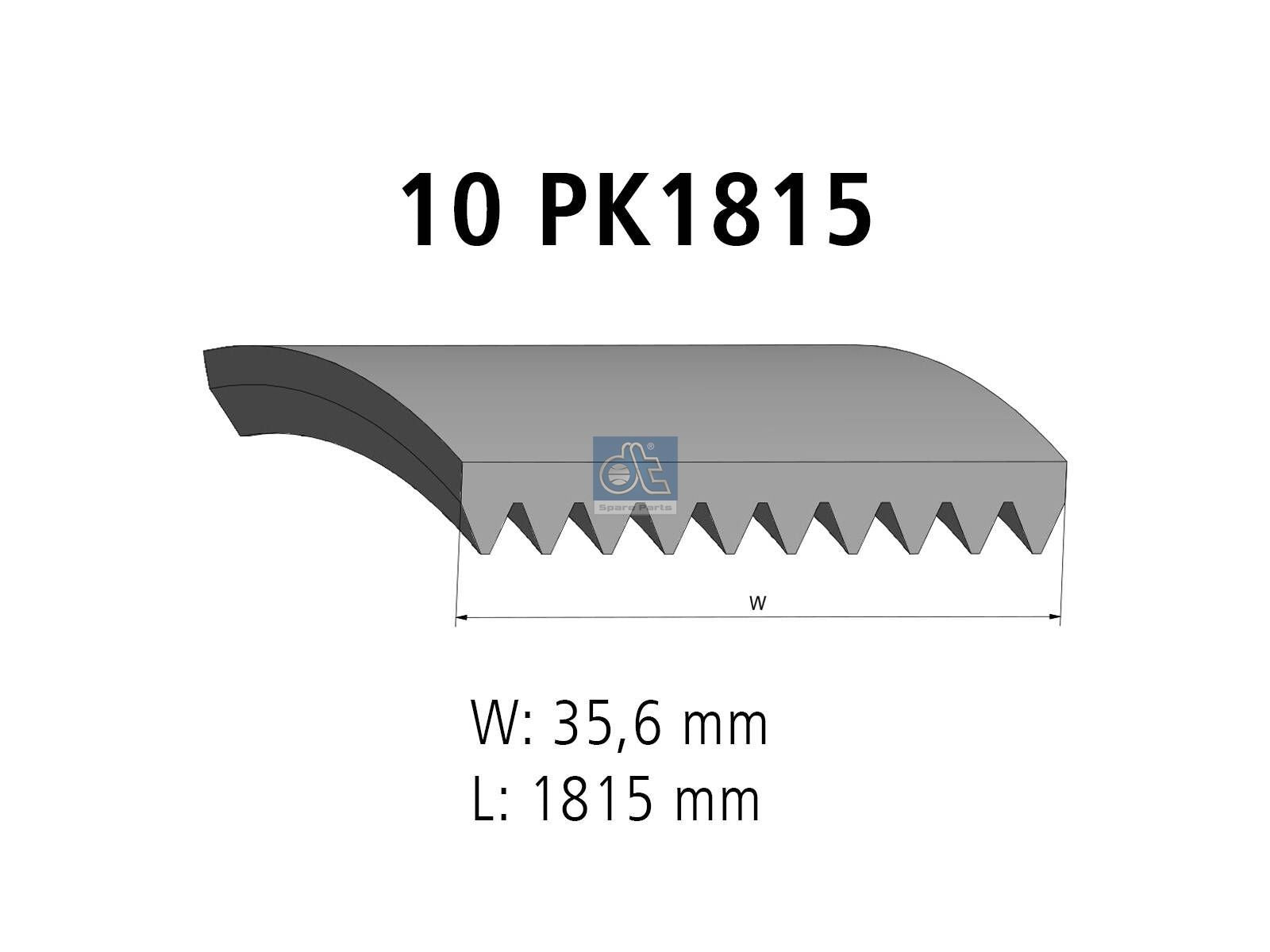 Multiribbed belt | DT Spare Parts 4.80741