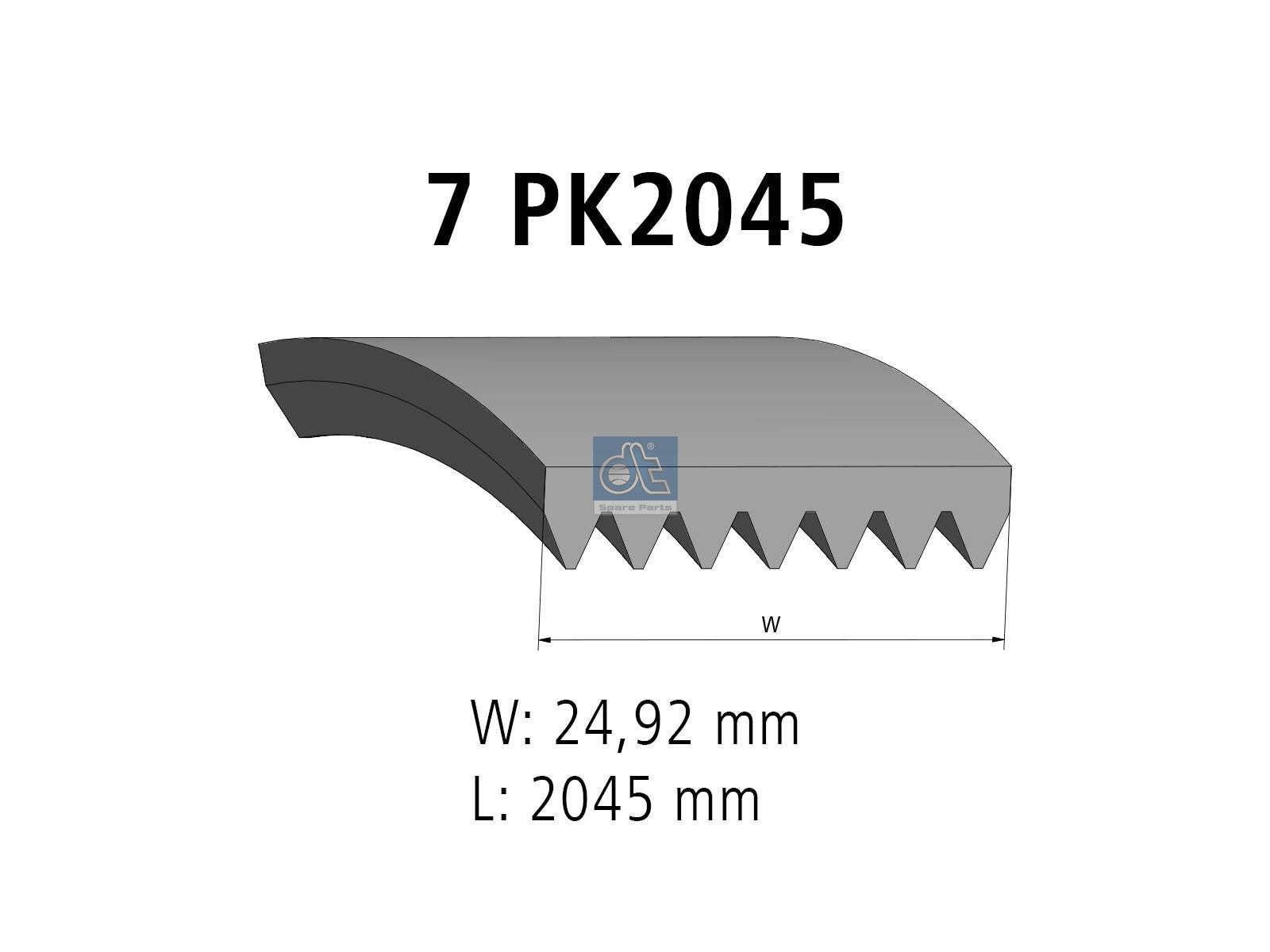 Multiribbed belt | DT Spare Parts 4.81422