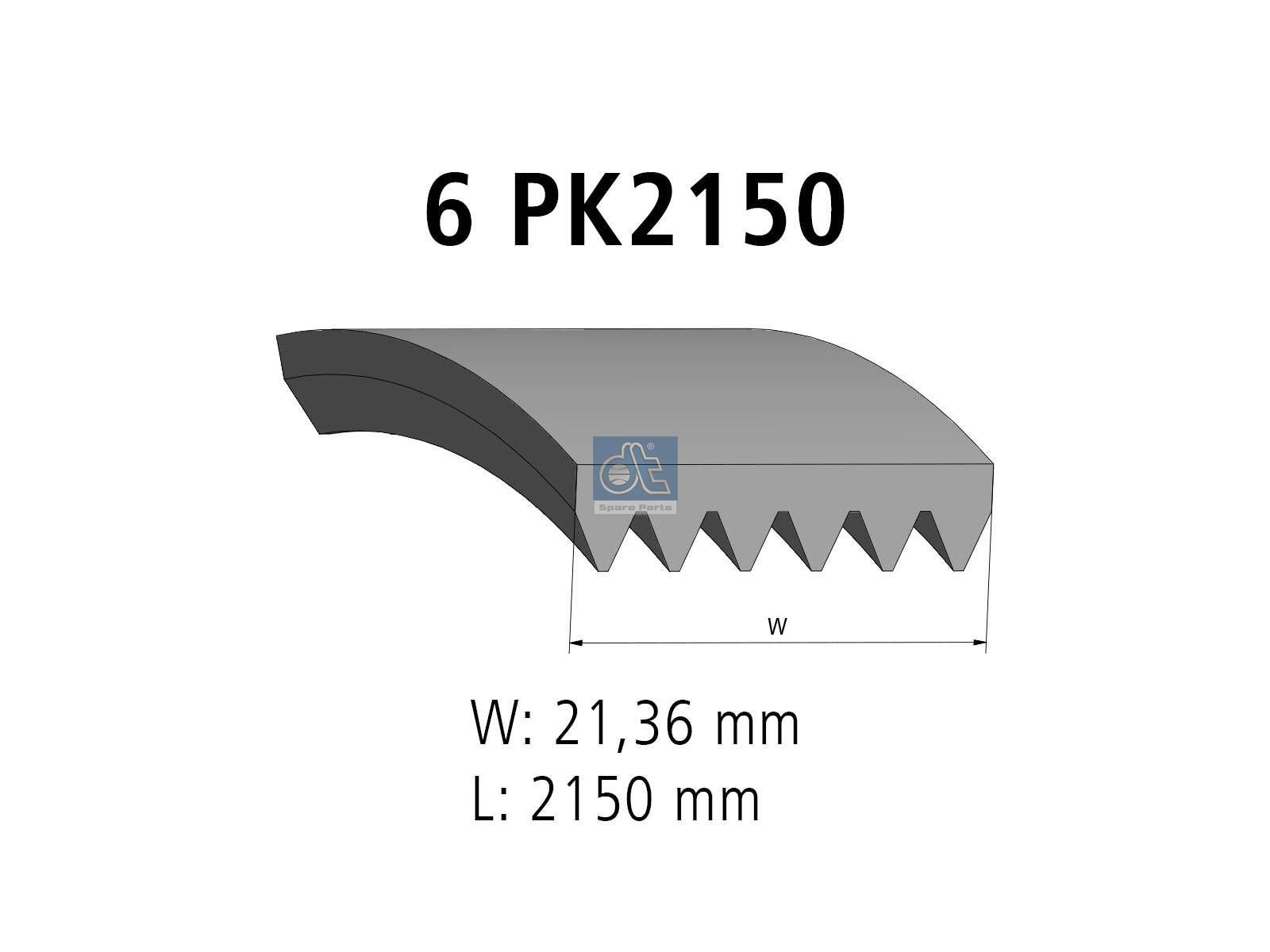 Multiribbed belt | DT Spare Parts 4.81426