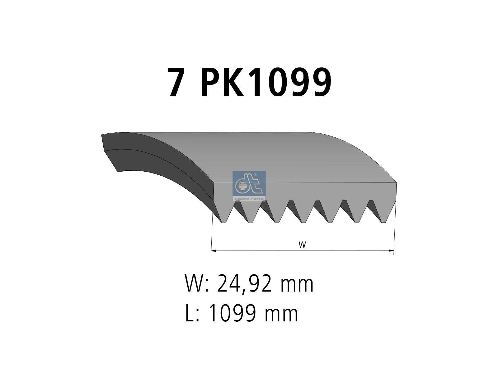 Multiribbed belt | DT Spare Parts 6.31541
