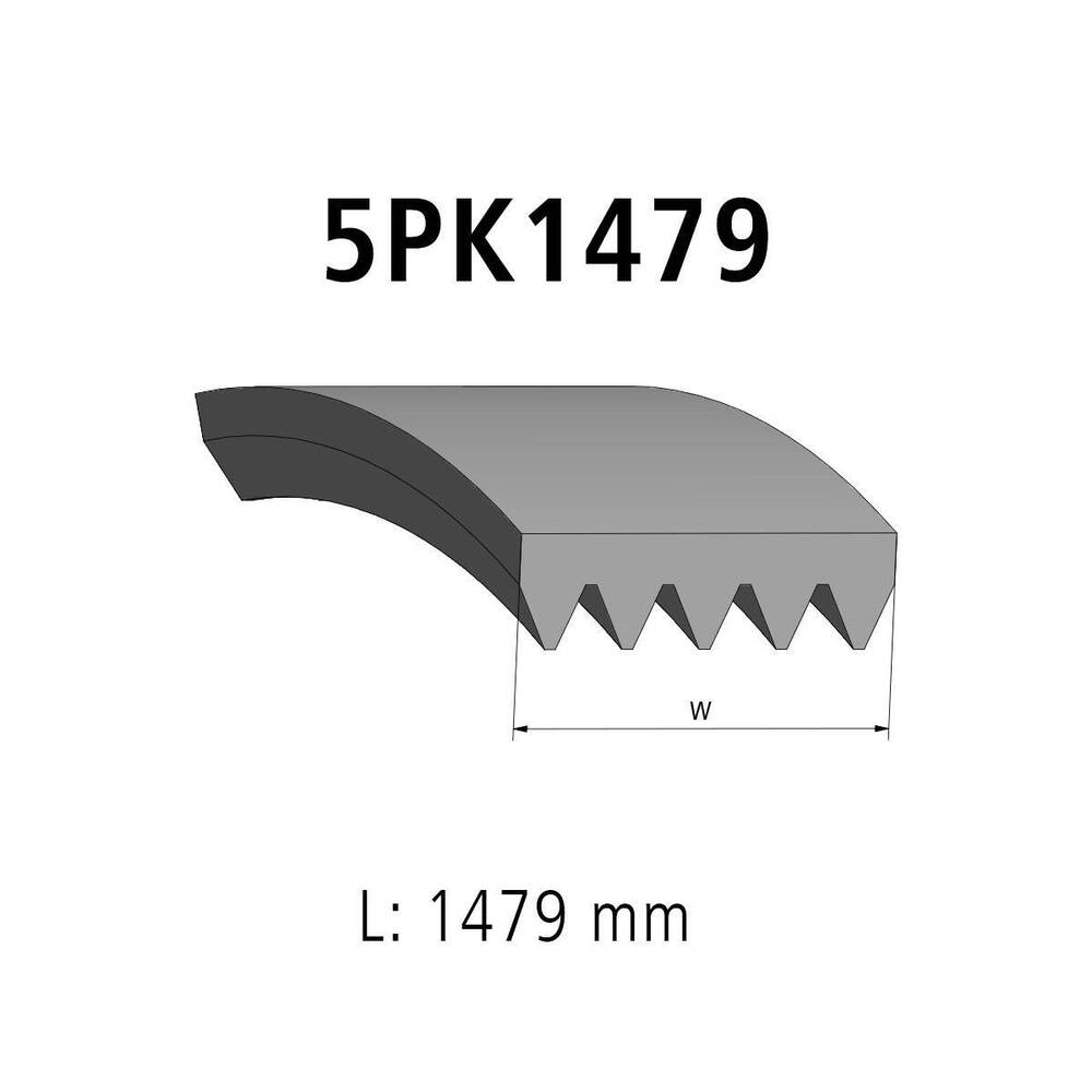 Multiribbed belt 5PK1479 DT Spare Parts 2.15563