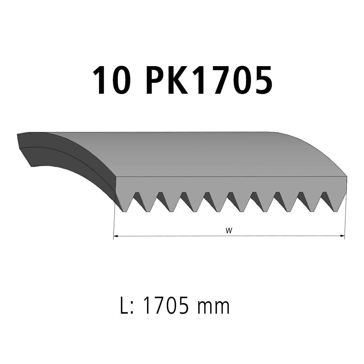 Correa acanalada DT Spare Parts 2.15561 Correa acanalada 10 u. L: 1705 mm