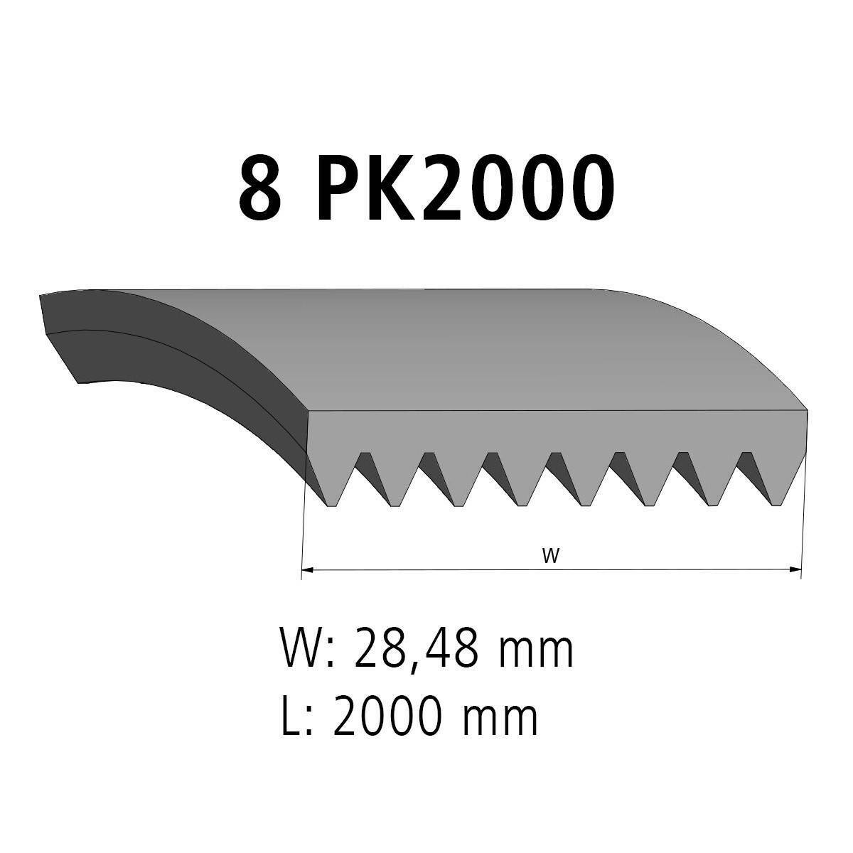 Multiribbed belt DT Spare Parts 4.80723 Multiribbed belt 8 PK L: 2000 mm W: 28,5