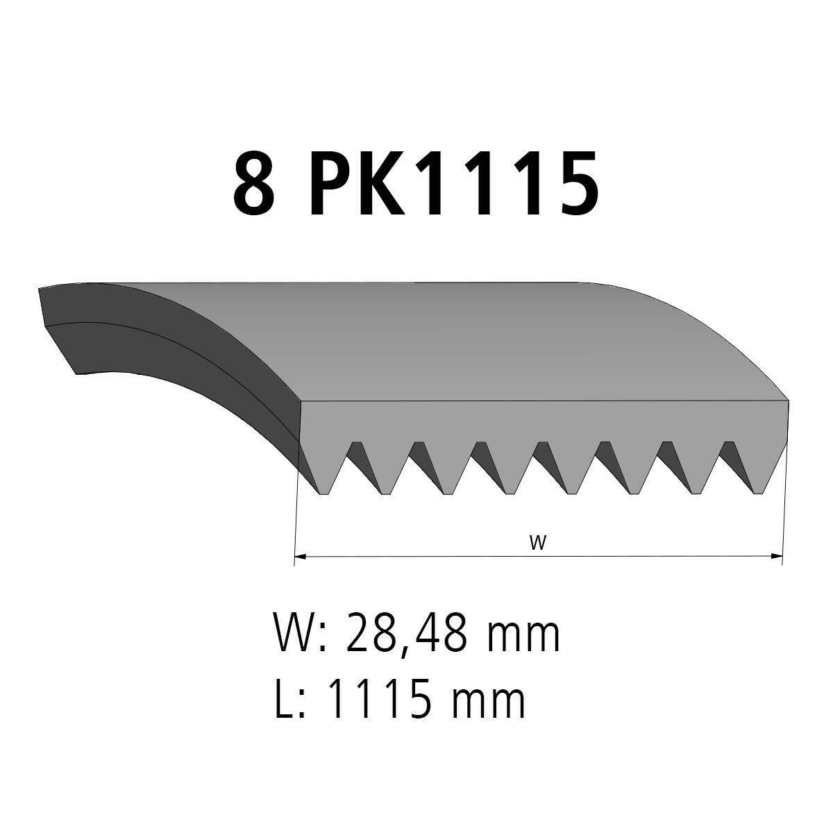 Correa acanalada DT Spare Parts 2.15367 Correa acanalada 8 u. L: 1115 mm W: 28,5