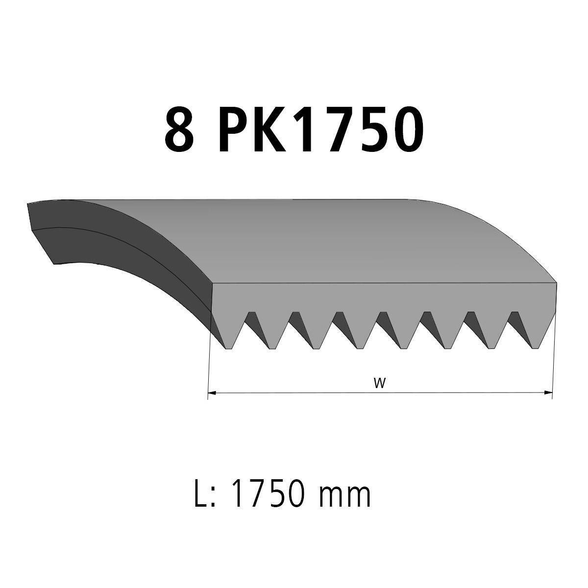 Correa acanalada DT Spare Parts 4.81701 Correa acanalada 8 u. L: 1750 mm W: 28,5