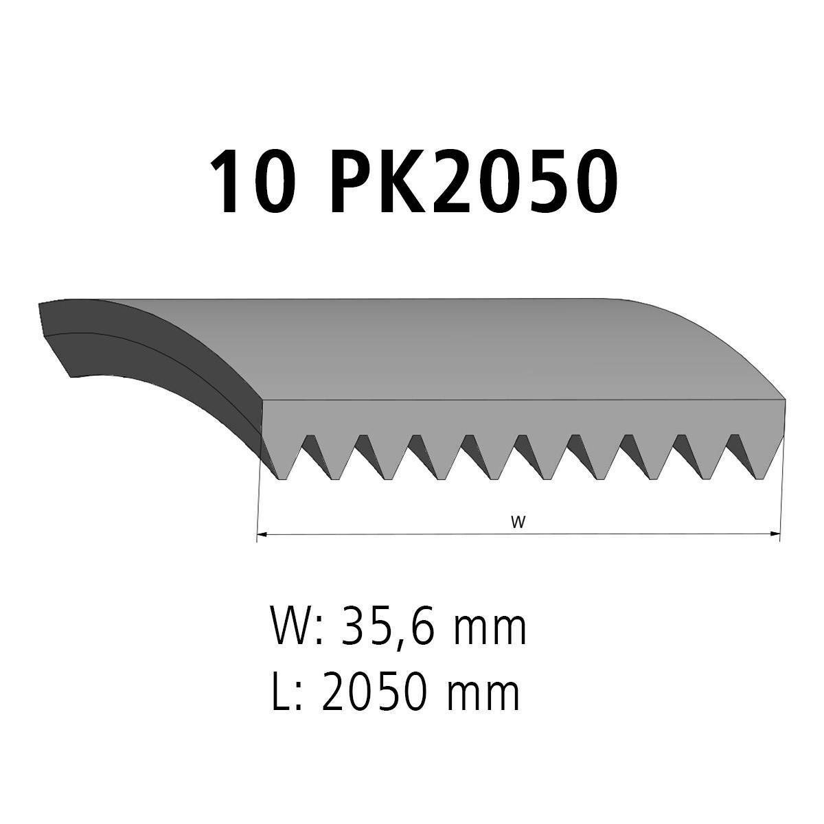 Correa acanalada DT Spare Parts 7.54810 Correa acanalada 10 u. L: 2050 mm