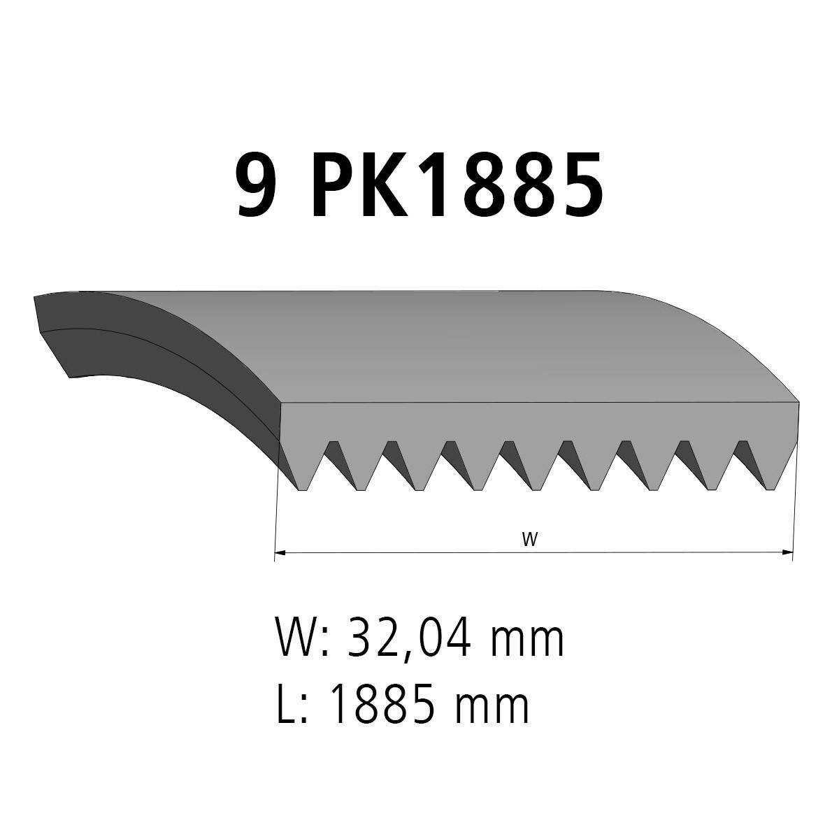 Multiribbed belt DT Spare Parts 4.80703 Multiribbed belt 9 PK L: 1885 mm W: 32