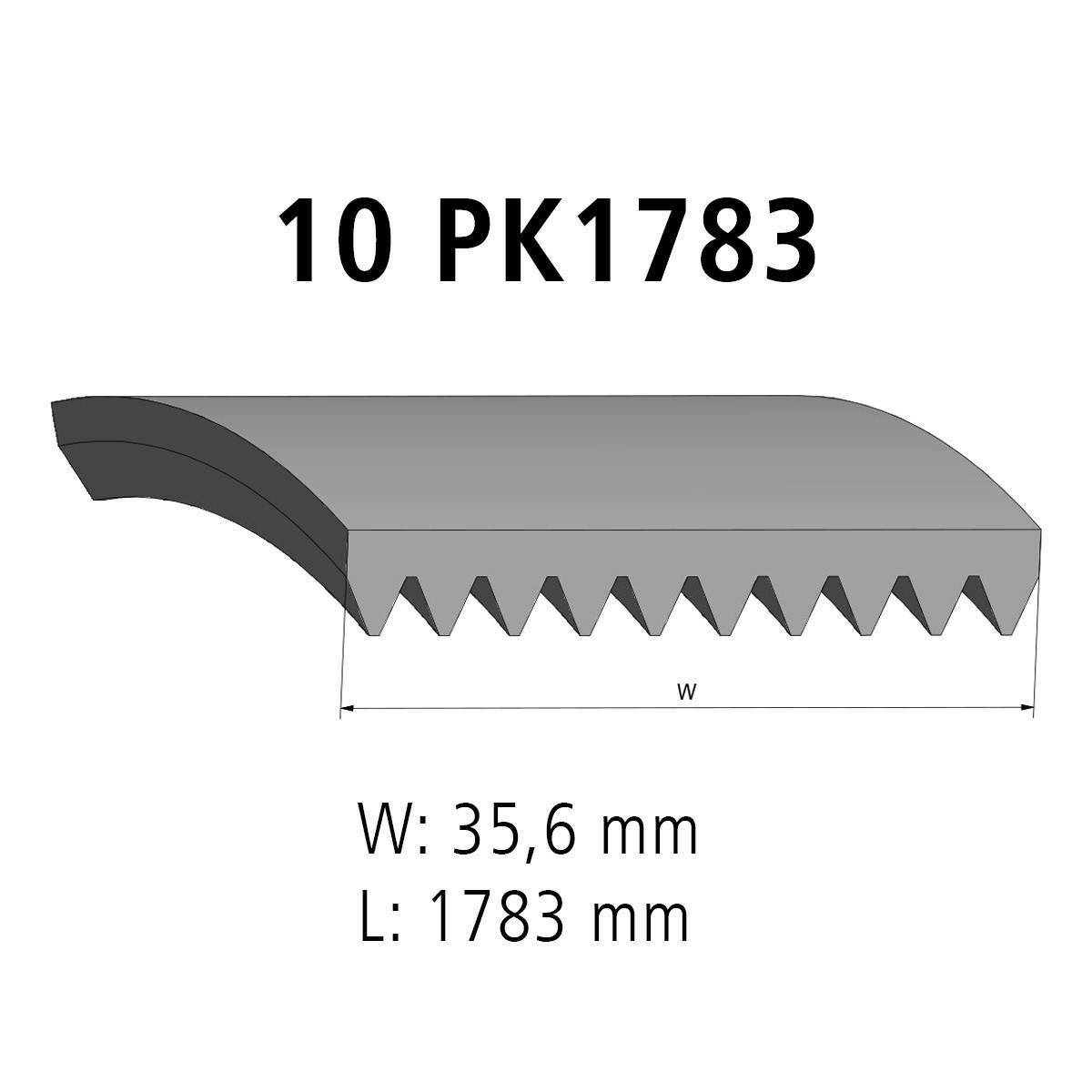 Multiribbed belt DT Spare Parts 2.15554 Multiribbed belt 10 PK L: 1783 mm