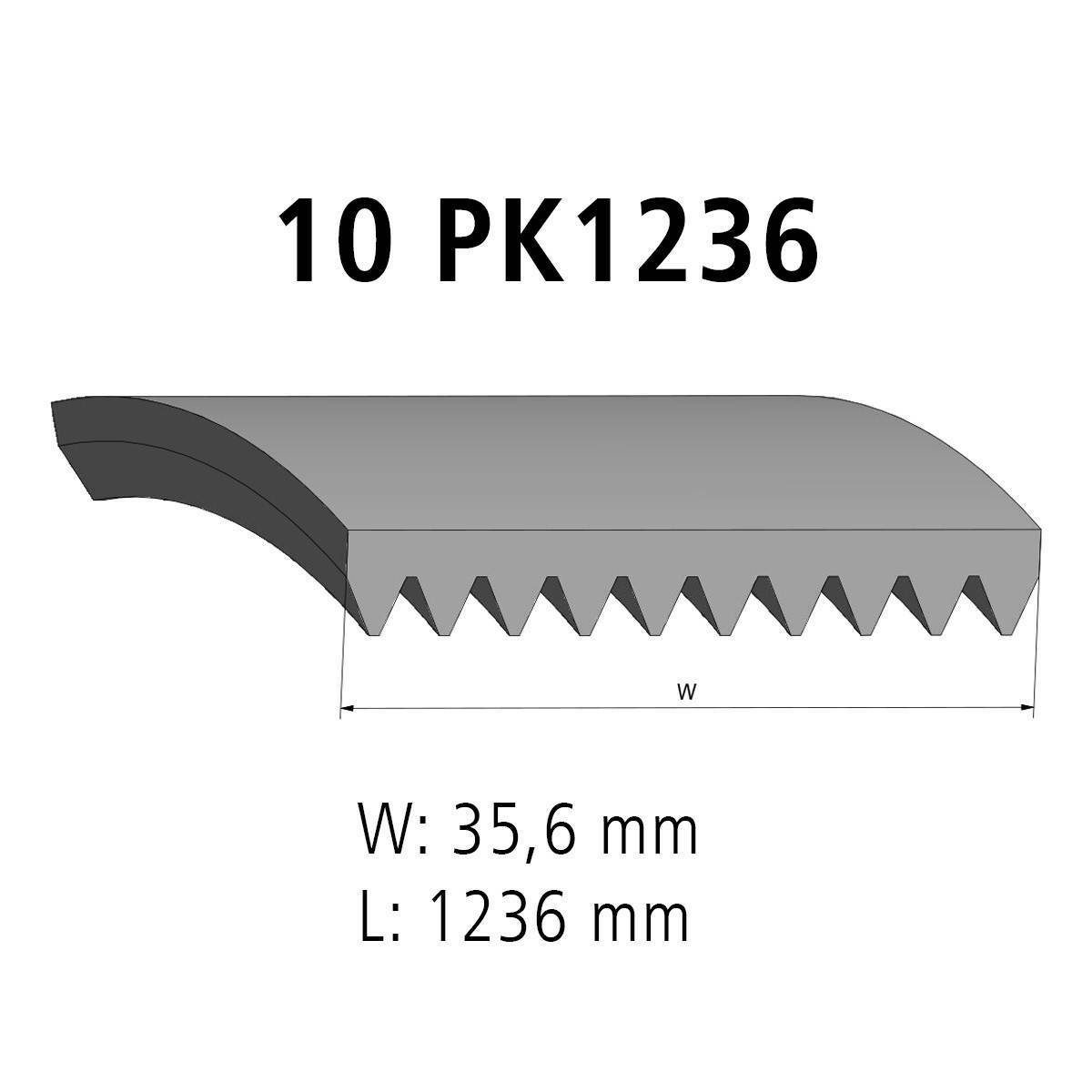 Correa acanalada DT Spare Parts 4.80670 Correa acanalada 10 u. L: 1236 mm