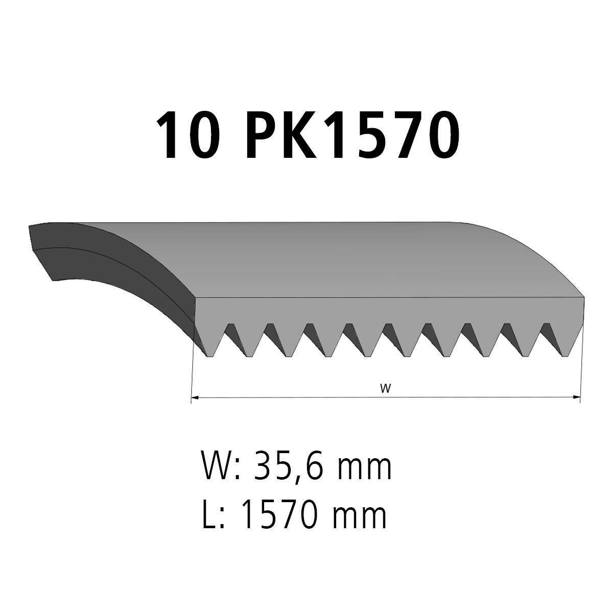 Correa acanalada DT Spare Parts 2.21200 Correa acanalada 10 u. L: 1570 mm