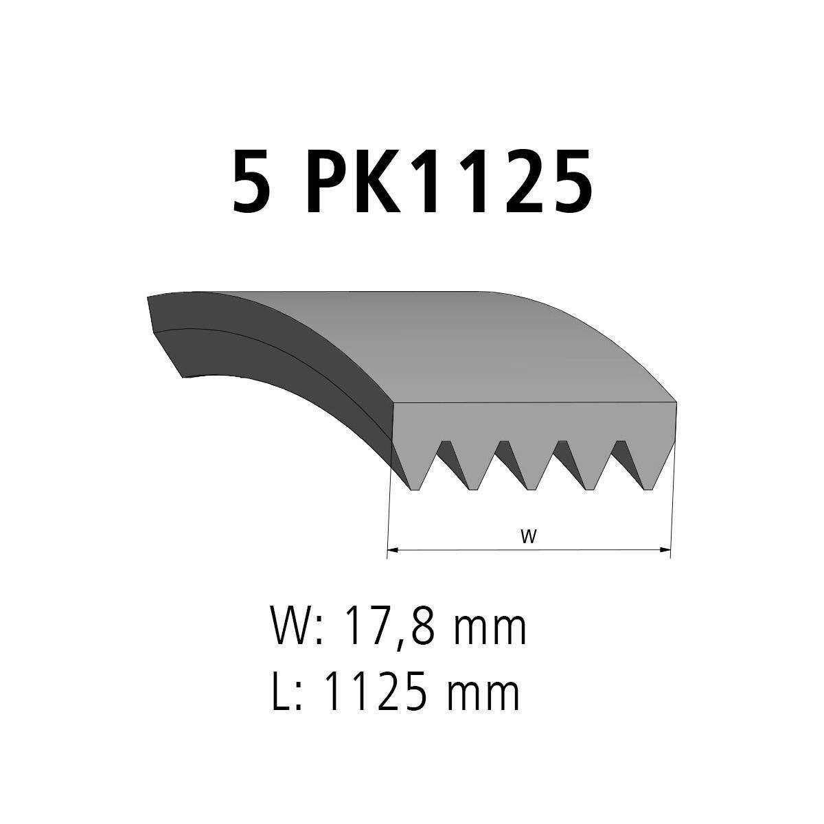 Correa acanalada DT Spare Parts 6.31014 Correa acanalada 5 u. L: 1125 mm W: 17,8