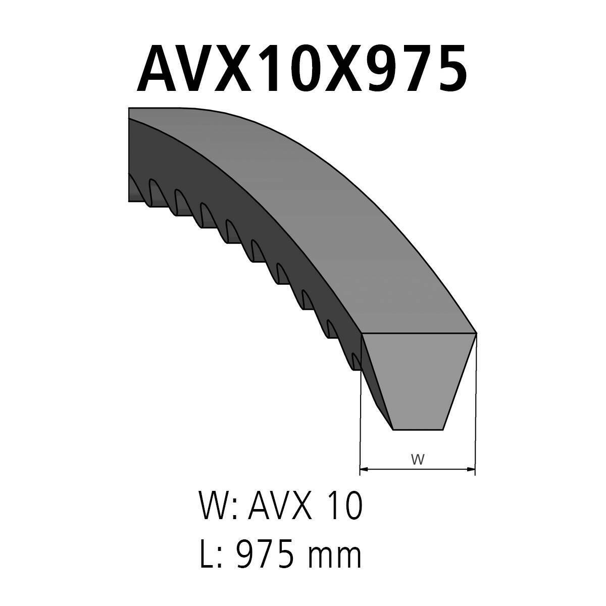 Correa trapezoidal DT Repuestos 3.34213 Correa trapezoidal AVX 10 L: 975 mm AVX10X975