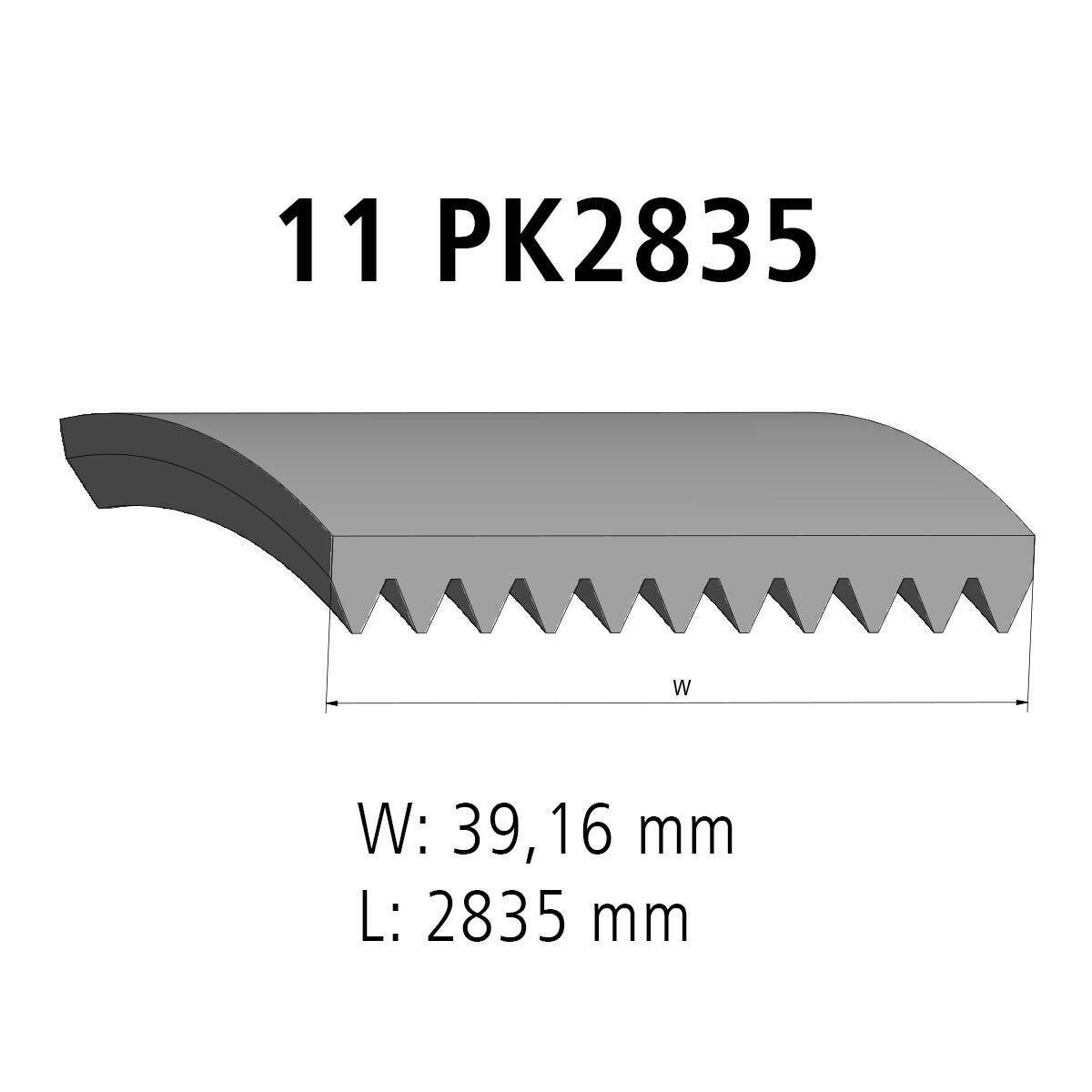 Multiribbed belt DT Spare Parts 4.80394 Multiribbed belt 11 PK L: 2835 mm