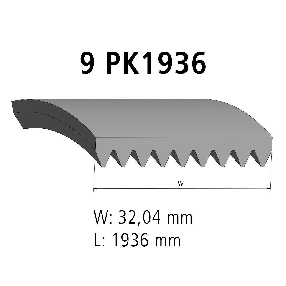 Correa acanalada DT Spare Parts 4.81437 Correa acanalada 9 unidades L: 1936 mm W: 32