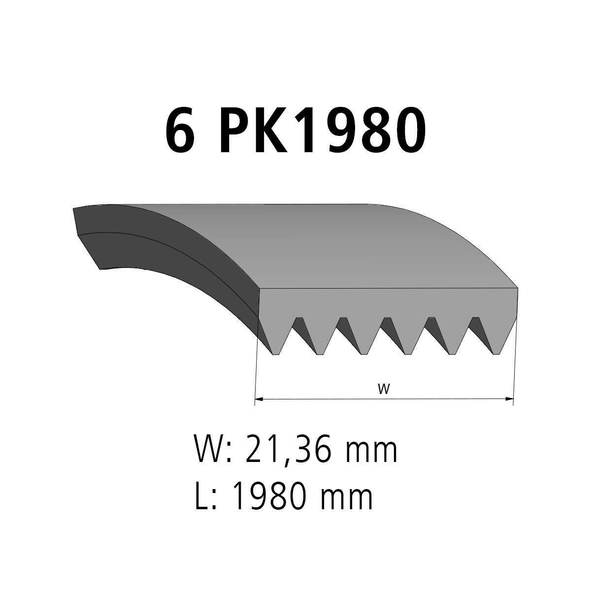 Multiribbed belt DT Spare Parts 4.81425 Multiribbed belt 6 PK L: 1980 mm W: 21,4