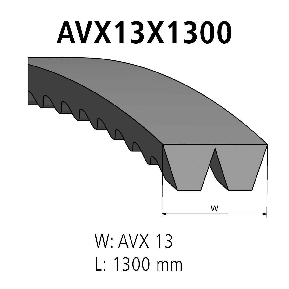 V-belt kit DT Spare Parts 3.34273 V-belt kit AVX 13 L: 1300 mm AVX13X1300 2