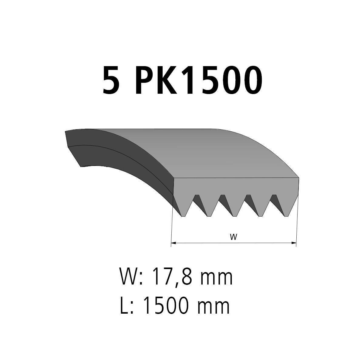 Multiribbed belt DT Spare Parts 2.21141 Multiribbed belt 5 PK L: 1500 mm W: 17,8