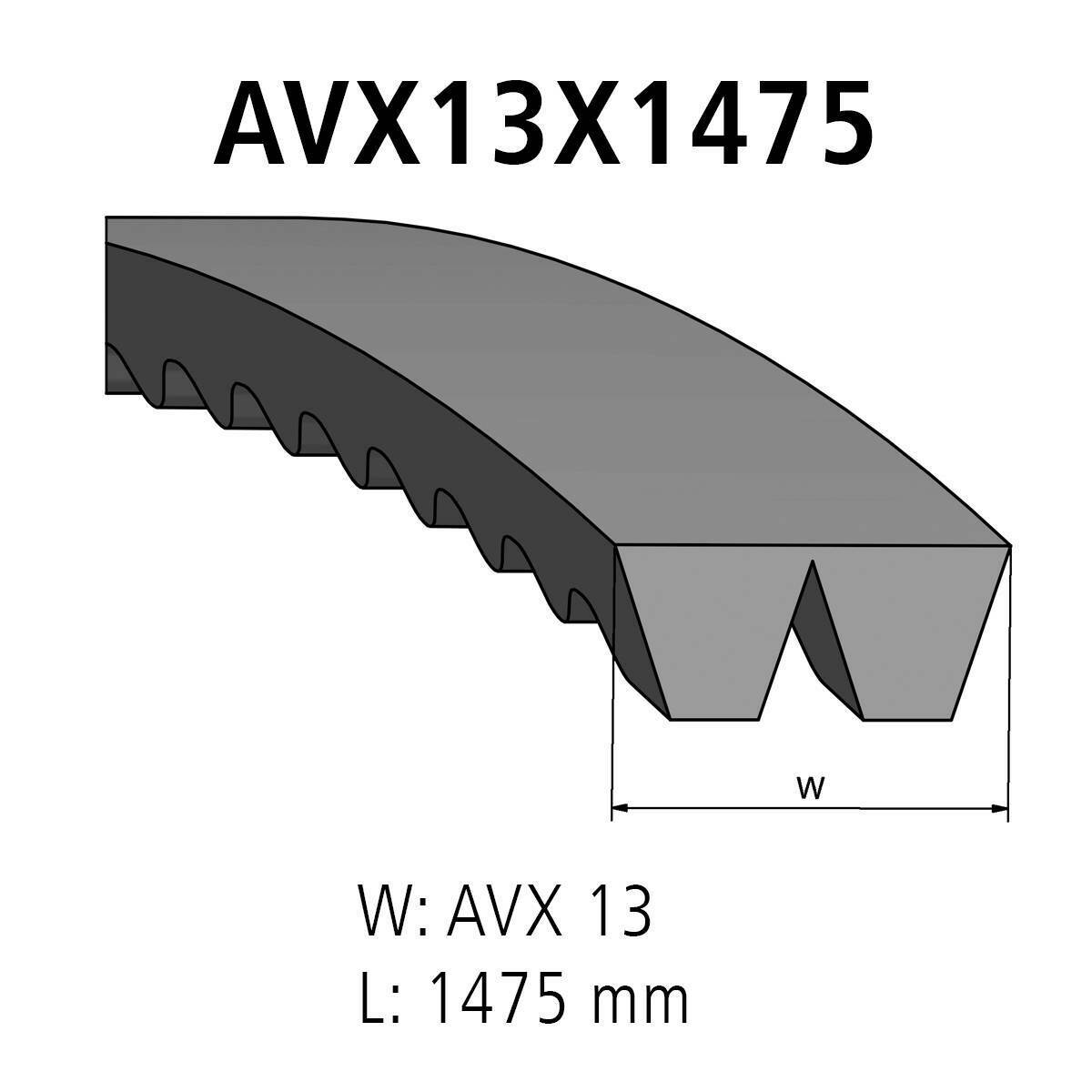 V-belt kit DT Spare Parts 3.34281 V-belt kit AVX 13 L: 1475 mm AVX13X1475 2