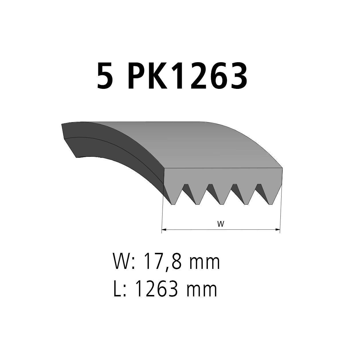 Multiribbed belt DT Spare Parts 4.81368 Multiribbed belt 5 PK L: 1263 mm W: 17,8