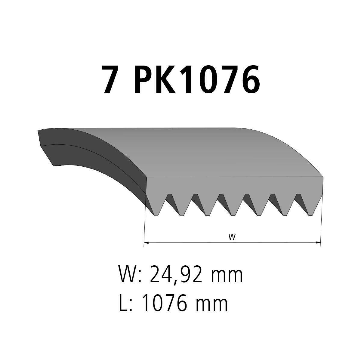 Multiribbed belt DT Spare Parts 12.15422 Multiribbed belt 7 PK L: 1076 mm