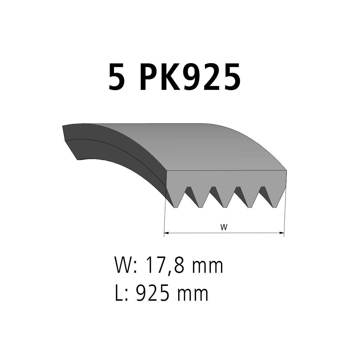 Correa acanalada DT Spare Parts 12.15406 Correa acanalada 5 u. L: 925 mm W: 17,8