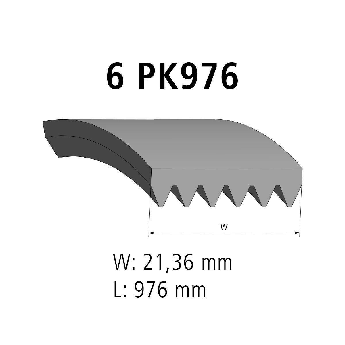 Correa acanalada DT Spare Parts 11.12075 Correa acanalada 6 u. L: 976 mm W: 21,4