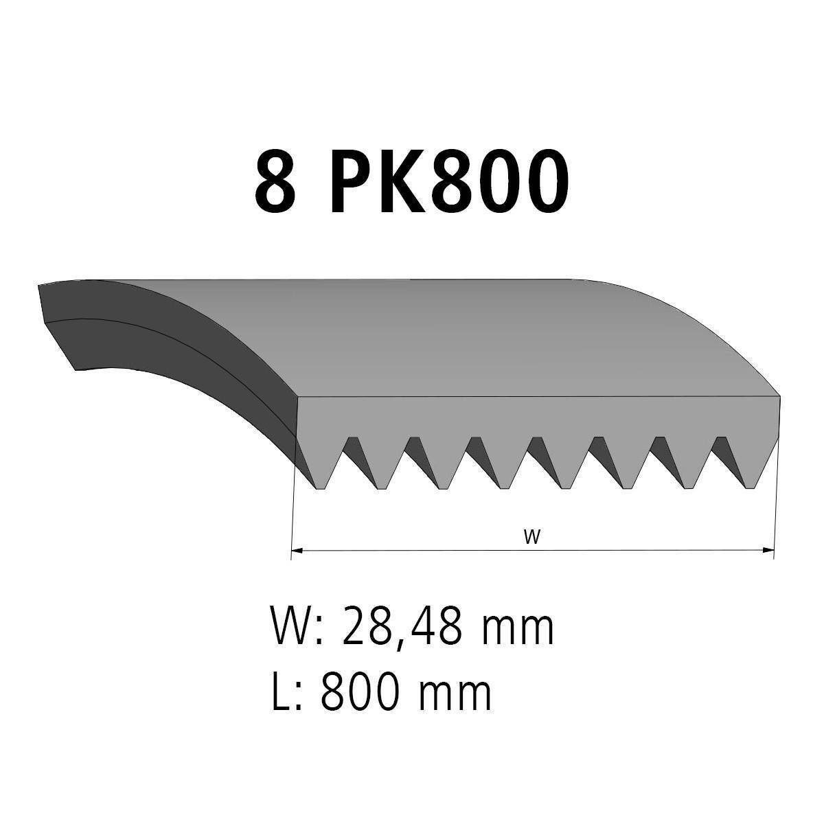 Multiribbed belt DT Spare Parts 2.21078 Multiribbed belt 8 PK L: 800 mm W: 28,5