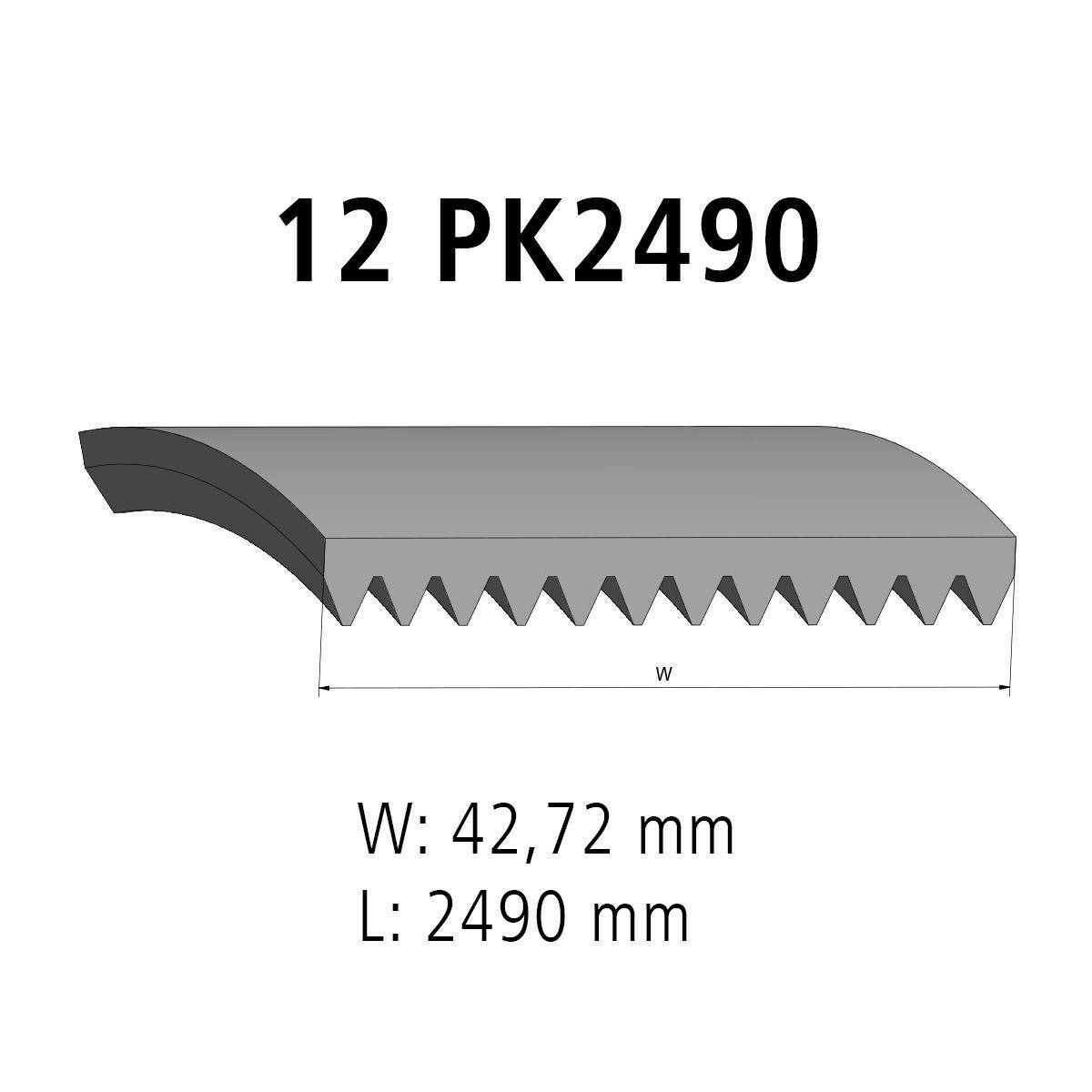 Multiribbed belt DT Spare Parts 4.80542 Multiribbed belt 12 PK L: 2490 mm