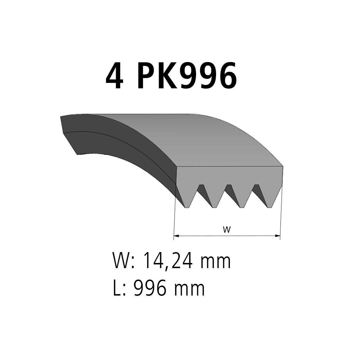 Correa acanalada DT Spare Parts 7.54816 Correa acanalada 4 u. L: 996 mm W: 14,2